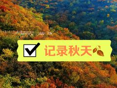 -北京西山国家森林公园