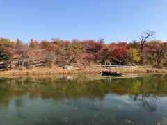 -周口店坡峰岭风景区