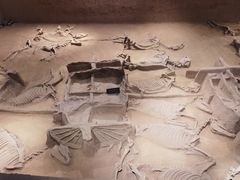 -洛阳周王城天子驾六博物馆