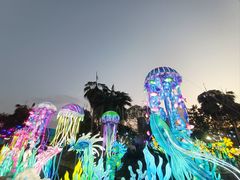 -海合安武汉极地海洋公园