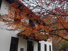 -狼山风景名胜区