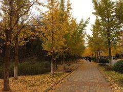 -浙江农林大学(东湖校区)