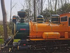 -合肥滨湖国家森林公园