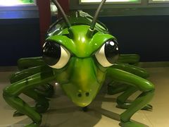 -上海昆虫博物馆