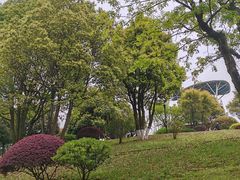 -铁山坪森林公园