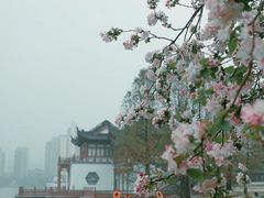 -莫愁湖公园