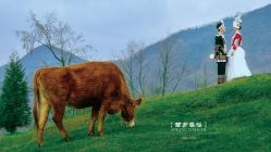 -金夫人婚纱摄影