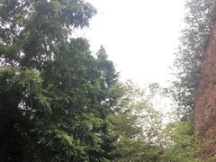 -西安曲江寒窑遗址公园
