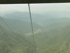 -王顺山国家森林公园