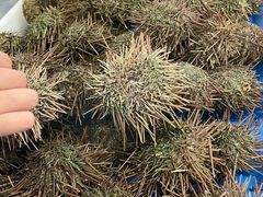 -南沙十九涌渔人码头-南门