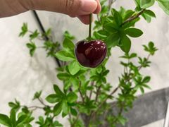 -Olé精品超市(沈阳万象城店)