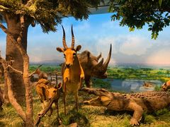 -国家自然博物馆