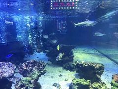 -凯德广场(学府店)