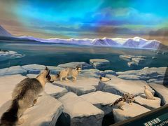 -陕西自然博物馆