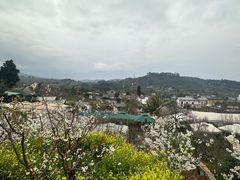 -桃源山庄·水蜜桃采摘·柴火鸡·烧烤团建(龙泉山店)