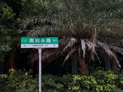 -盐禾堂海南屯昌香草鸭(总店)