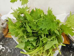-张氏特色豆花火锅酸汤鱼(江口店)