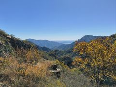 -大岭沟猕猴桃谷风景区