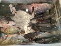 -老刘生态大鱼坊铁锅炖鱼(赛马场店)