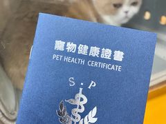 -申普宠物医院·心脏介入·心血管微创(总院)