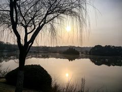 -宜兴龙背山森林公园