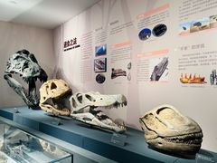 -自贡恐龙博物馆