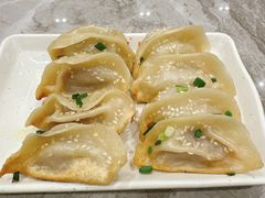 鲜肉锅贴-小姜锅贴(凤凰街店)