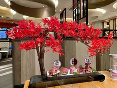 -赤坂亭M9和牛烧肉(世博源店)