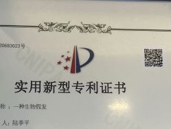 -乐绅男士高端假发定制