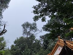 -昆明市金殿名胜区
