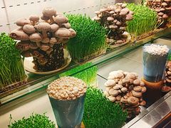 -蜀大侠火锅(四川北路店)