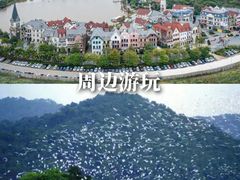 -美的鹭湖森林度假区