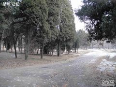 -二一九公园