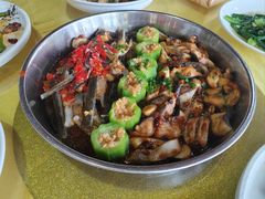 -鲤鱼塘农家山庄