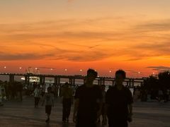 -宝安西湾红树林湿地公园