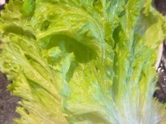 -秦炉烤肉(财富中心店)