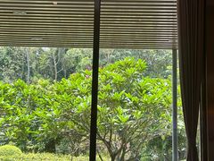 -南宁荔园维景国际酒店·荔园中餐厅