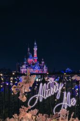 -迈瑞米求婚策划(静安店)