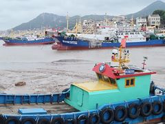 -温岭石塘海边