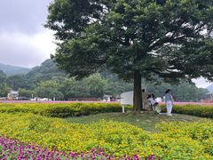 -广州市石门国家森林公园