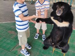 -东方熊牧场