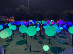 -锦江乐园舞狸花花游园会(夜场专享)