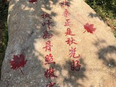 -广州市帽峰山景区