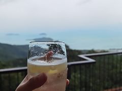 -三亚亚龙湾人间天堂鸟巢度假村