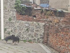 -长沙滨江文化园