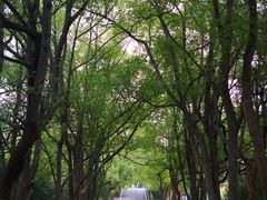 -随州市曾侯乙墓遗址博物馆