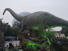 -陕西自然博物馆