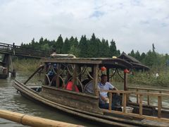 -溱湖国家湿地公园