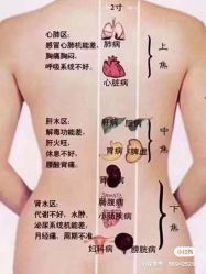-香薇妮丝女子减肥院