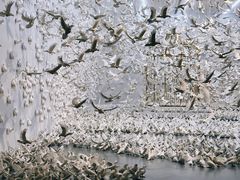 -上海宝龙美术馆